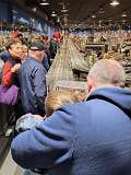 4: Chapter Explorer Trip 4